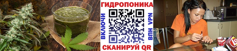 наркотики  Муром  Canna-Cookies конопля 