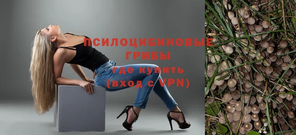 бошки Карпинск