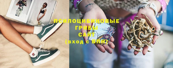 бошки Карпинск