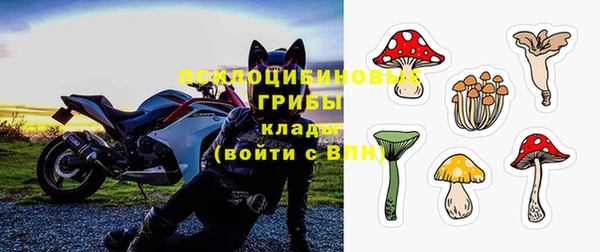бошки Карпинск