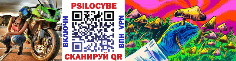 даркнет клад  гидра ТОР  Галлюциногенные грибы прущие грибы  Муром  где купить наркотик 