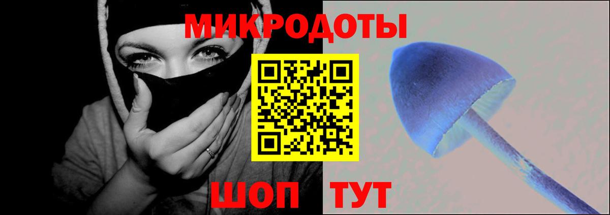 Псилоцибиновые грибы ЛСД Муром